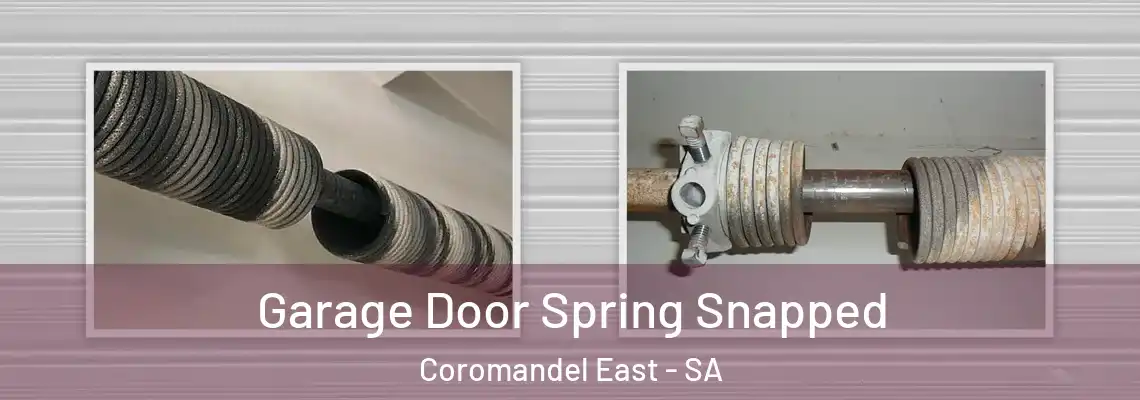 Garage Door Spring Snapped Coromandel East - SA