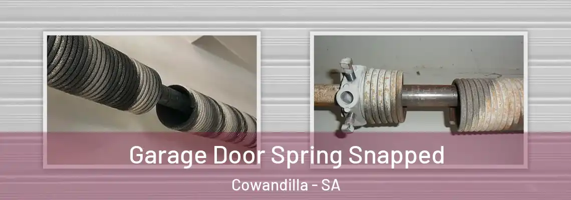  Garage Door Spring Snapped Cowandilla - SA