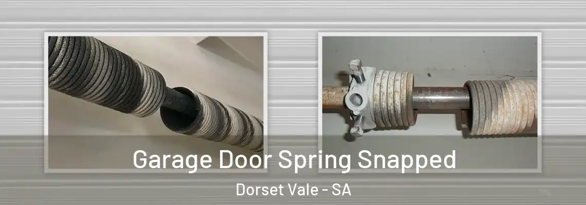  Garage Door Spring Snapped Dorset Vale - SA