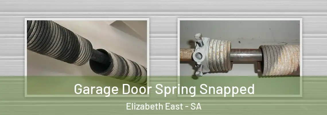  Garage Door Spring Snapped Elizabeth East - SA