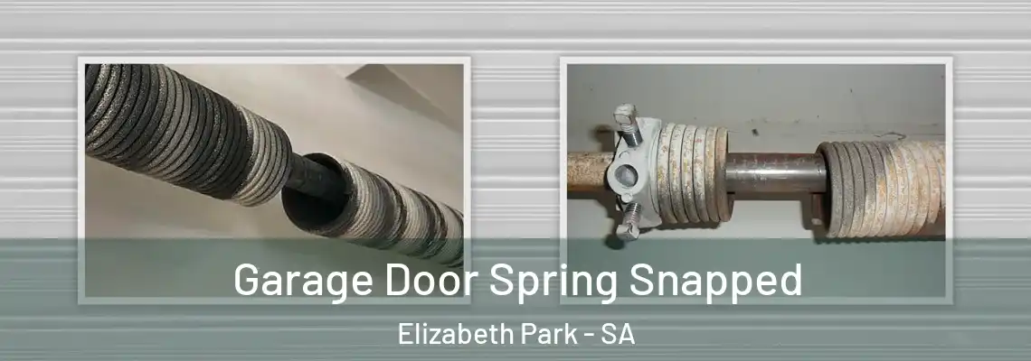  Garage Door Spring Snapped Elizabeth Park - SA