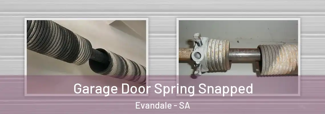  Garage Door Spring Snapped Evandale - SA