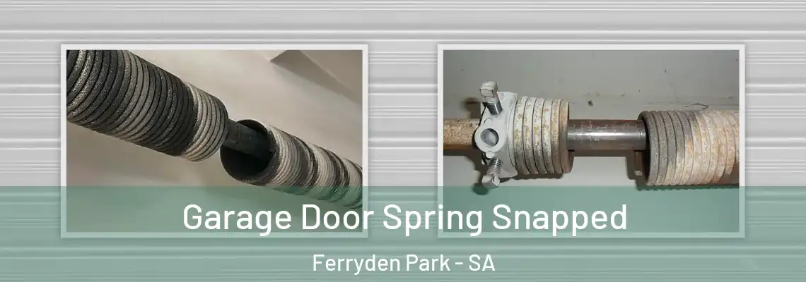  Garage Door Spring Snapped Ferryden Park - SA