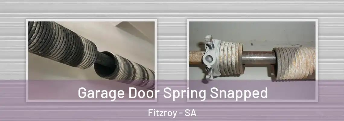 Garage Door Spring Snapped Fitzroy - SA