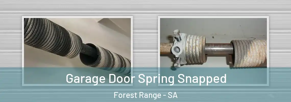 Garage Door Spring Snapped Forest Range - SA