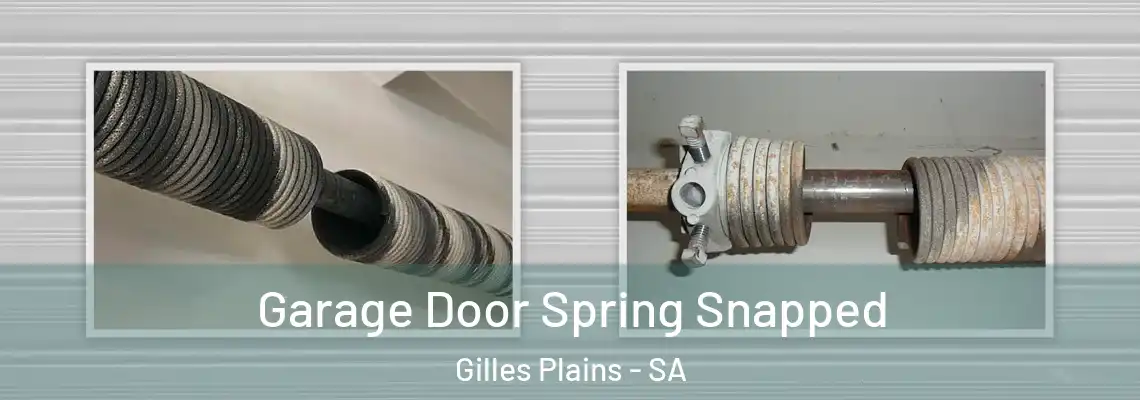 Garage Door Spring Snapped Gilles Plains - SA