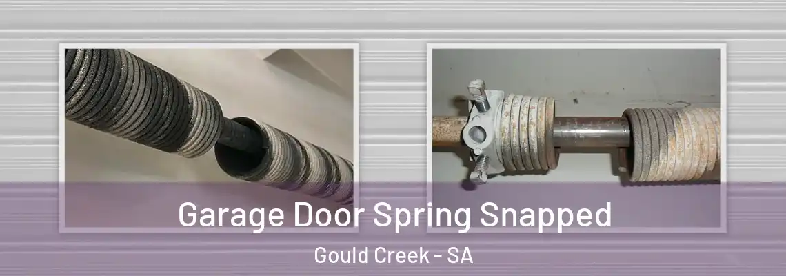  Garage Door Spring Snapped Gould Creek - SA