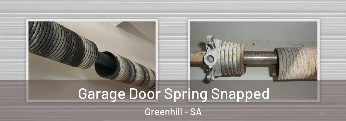 Garage Door Spring Snapped Greenhill - SA