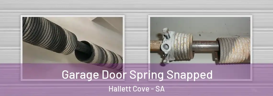 Garage Door Spring Snapped Hallett Cove - SA