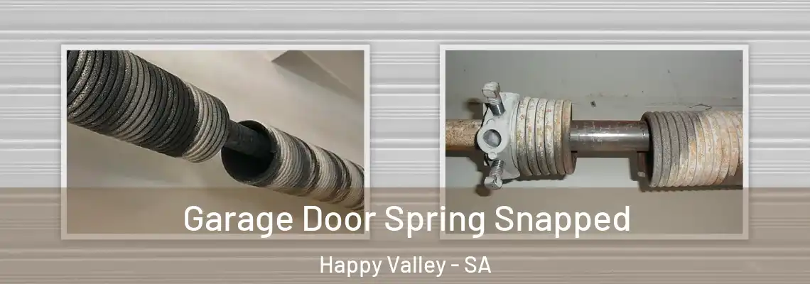  Garage Door Spring Snapped Happy Valley - SA