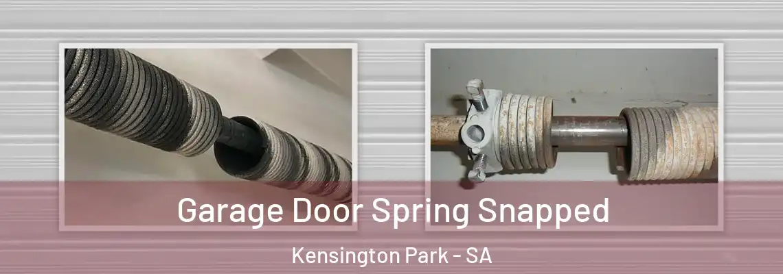  Garage Door Spring Snapped Kensington Park - SA