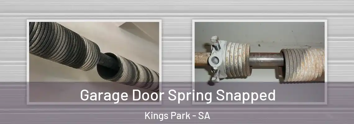 Garage Door Spring Snapped Kings Park - SA