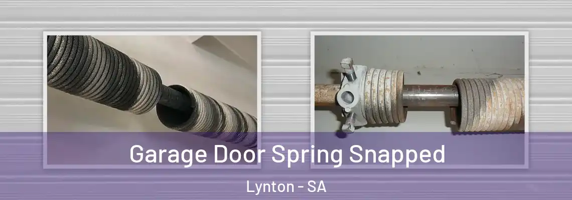  Garage Door Spring Snapped Lynton - SA