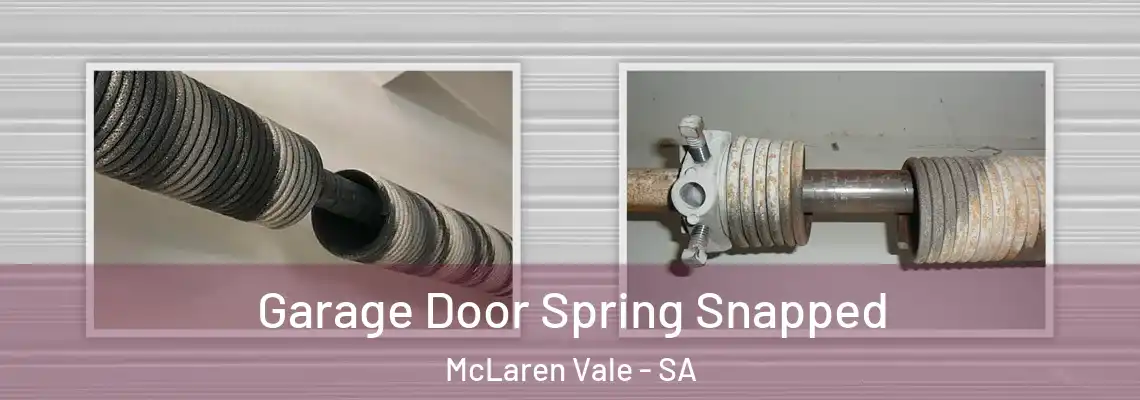 Garage Door Spring Snapped McLaren Vale - SA