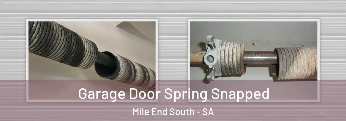  Garage Door Spring Snapped Mile End South - SA