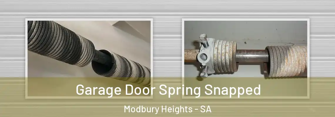 Garage Door Spring Snapped Modbury Heights - SA