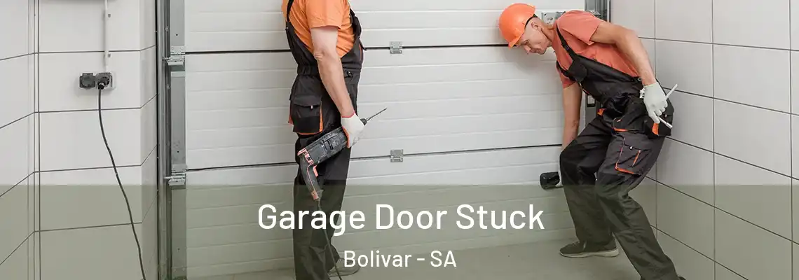 Garage Door Stuck Bolivar - SA