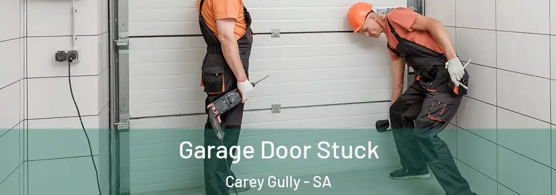  Garage Door Stuck Carey Gully - SA