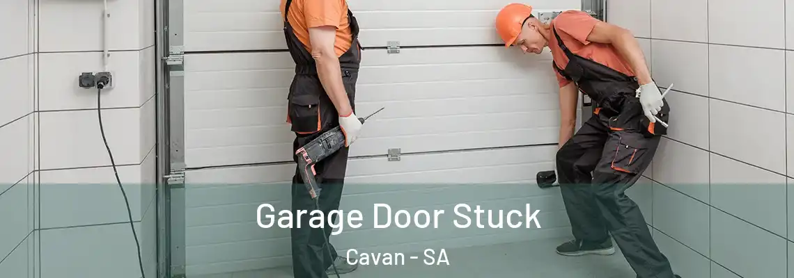  Garage Door Stuck Cavan - SA