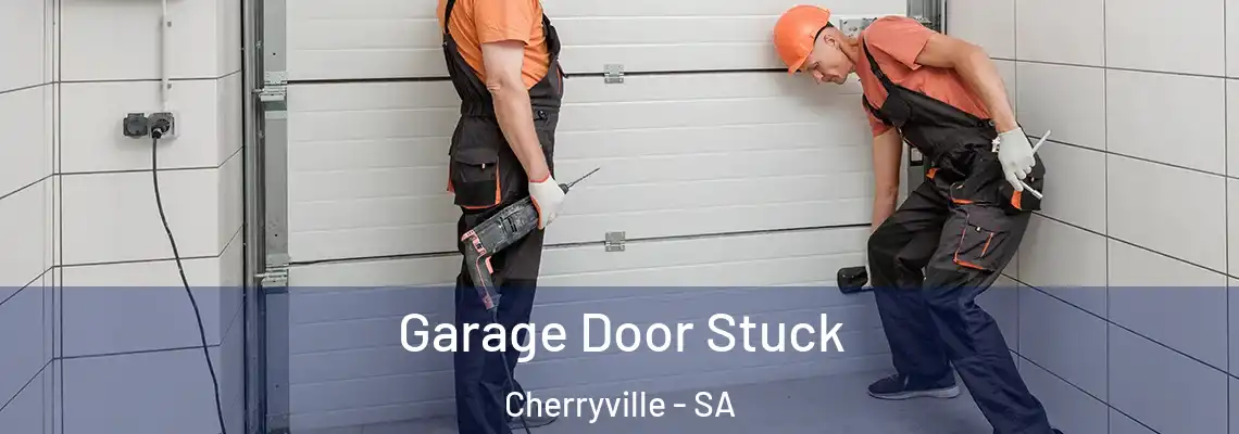  Garage Door Stuck Cherryville - SA