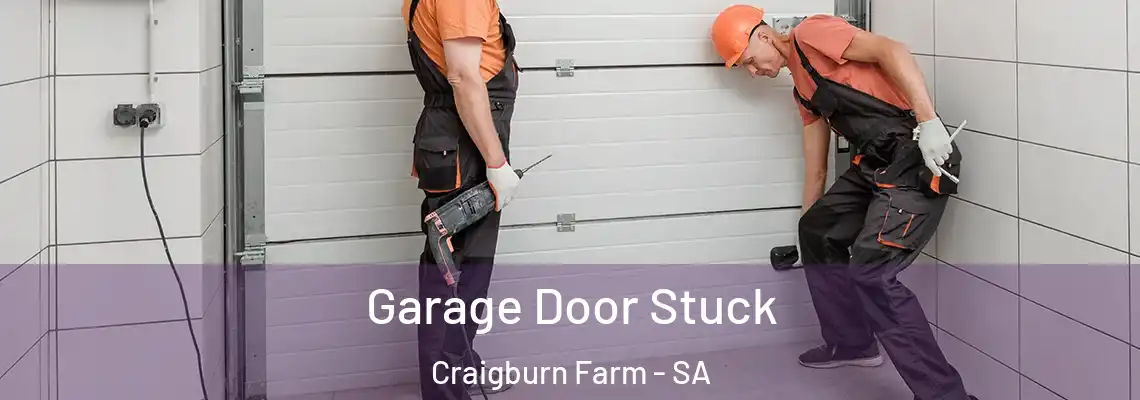  Garage Door Stuck Craigburn Farm - SA