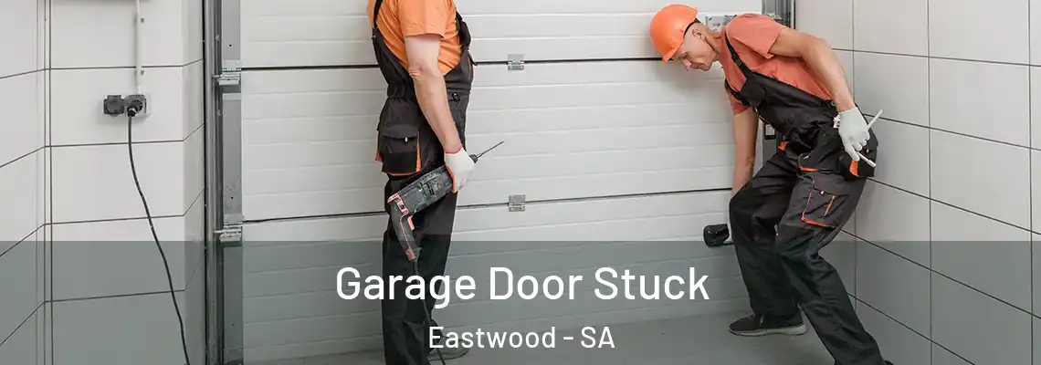Garage Door Stuck Eastwood - SA