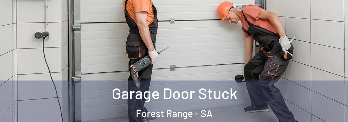 Garage Door Stuck Forest Range - SA