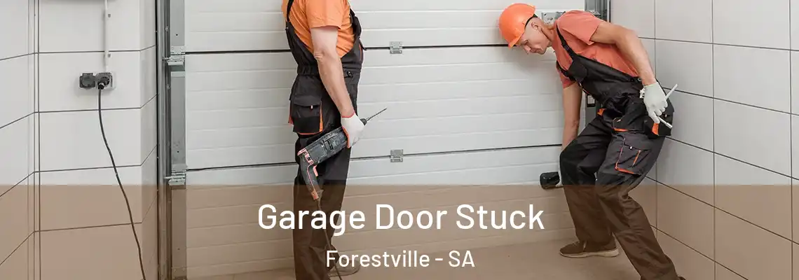 Garage Door Stuck Forestville - SA