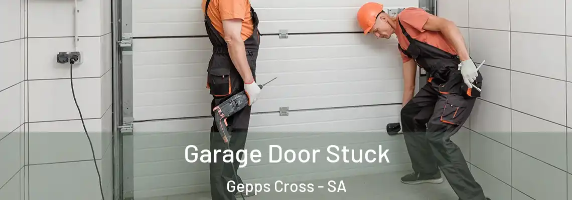  Garage Door Stuck Gepps Cross - SA