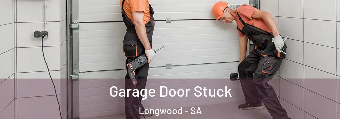  Garage Door Stuck Longwood - SA