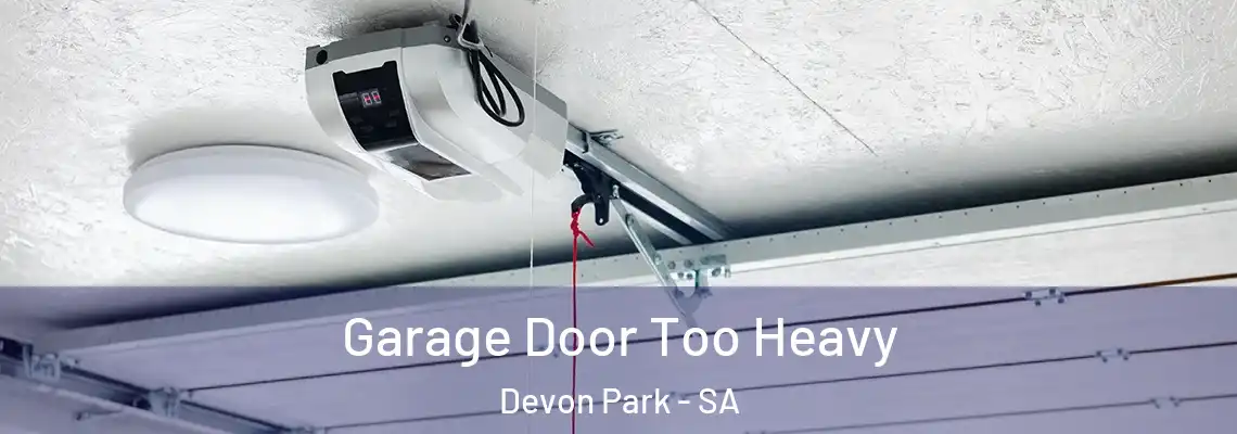 Garage Door Too Heavy Devon Park - SA