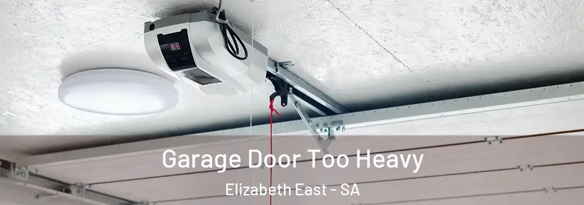  Garage Door Too Heavy Elizabeth East - SA