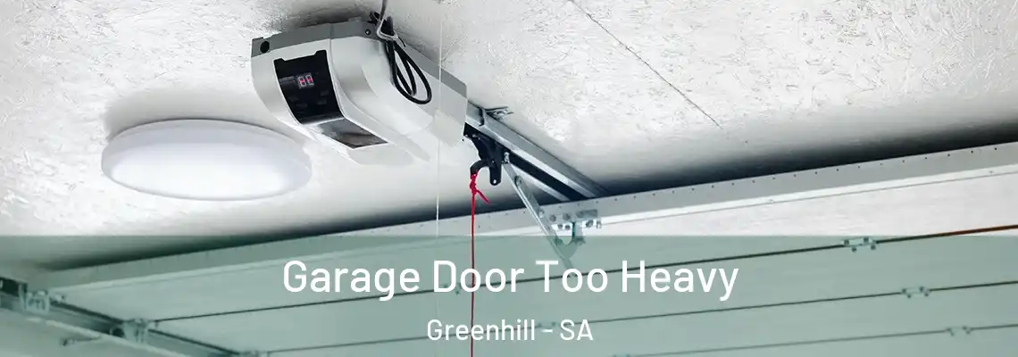  Garage Door Too Heavy Greenhill - SA
