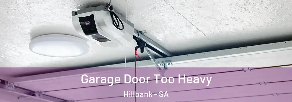 Garage Door Too Heavy Hillbank - SA