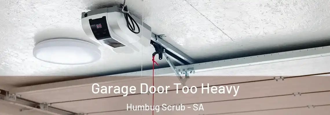 Garage Door Too Heavy Humbug Scrub - SA