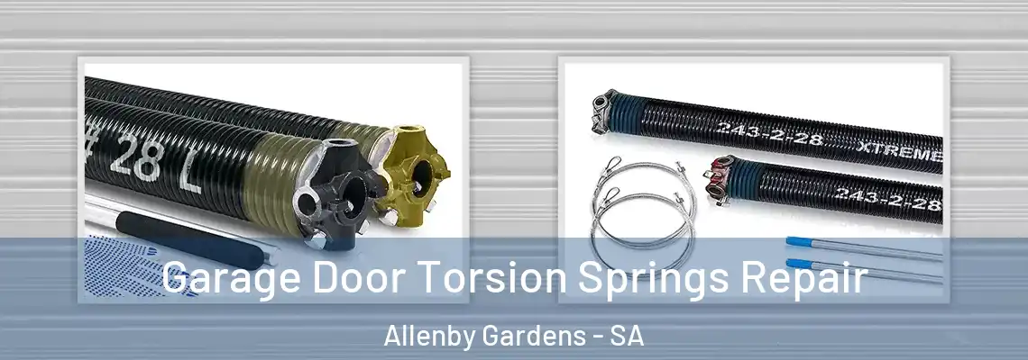 Garage Door Torsion Springs Repair Allenby Gardens - SA