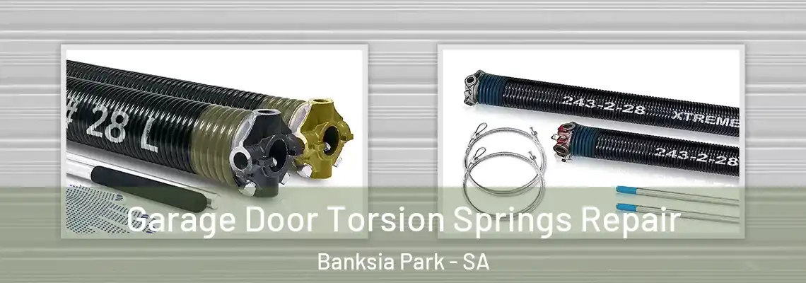 Garage Door Torsion Springs Repair Banksia Park - SA