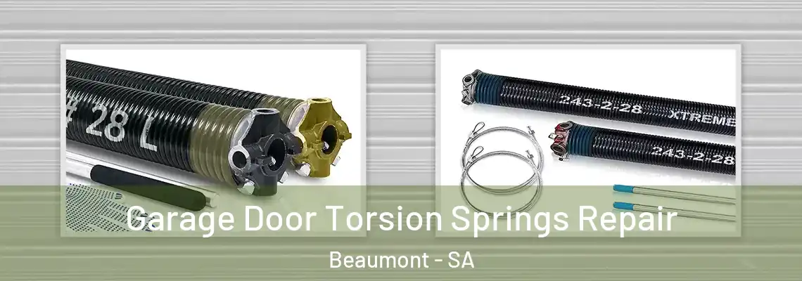 Garage Door Torsion Springs Repair Beaumont - SA