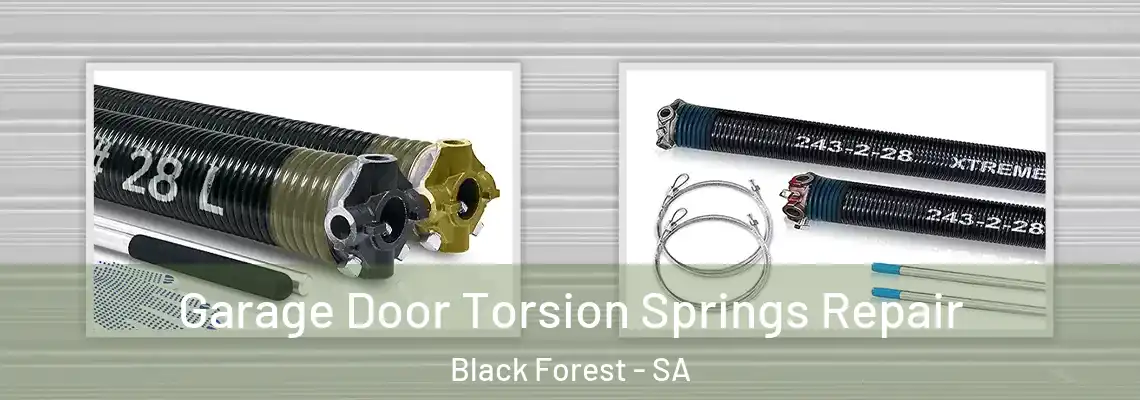  Garage Door Torsion Springs Repair Black Forest - SA