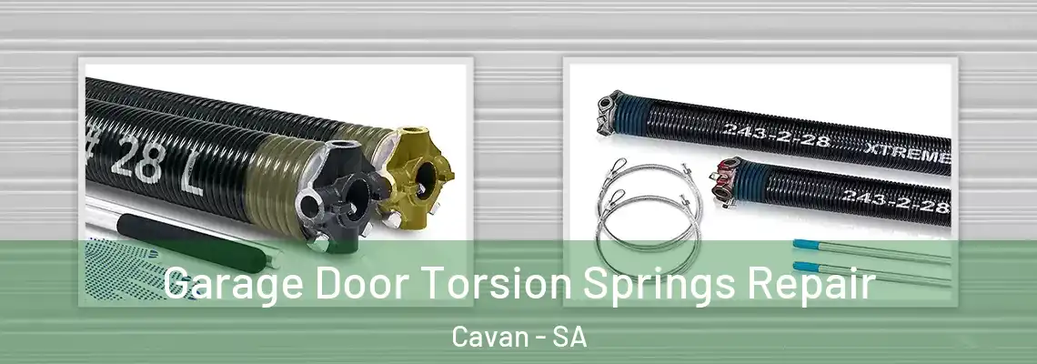  Garage Door Torsion Springs Repair Cavan - SA