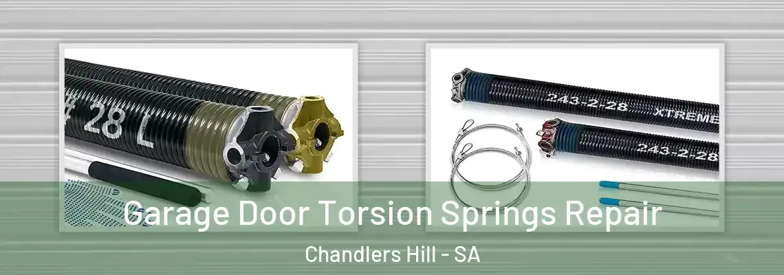  Garage Door Torsion Springs Repair Chandlers Hill - SA