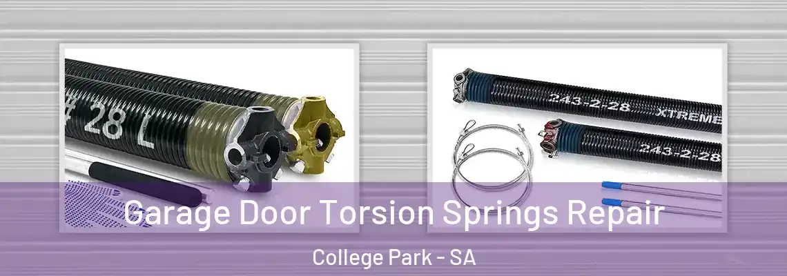 Garage Door Torsion Springs Repair College Park - SA