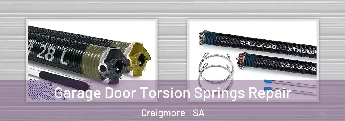  Garage Door Torsion Springs Repair Craigmore - SA