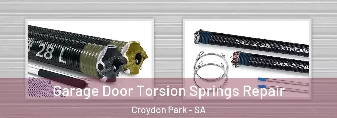 Garage Door Torsion Springs Repair Croydon Park - SA