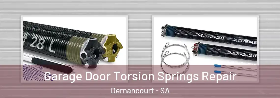 Garage Door Torsion Springs Repair Dernancourt - SA