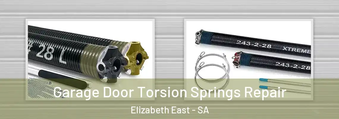 Garage Door Torsion Springs Repair Elizabeth East - SA