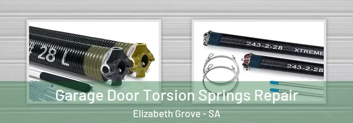  Garage Door Torsion Springs Repair Elizabeth Grove - SA