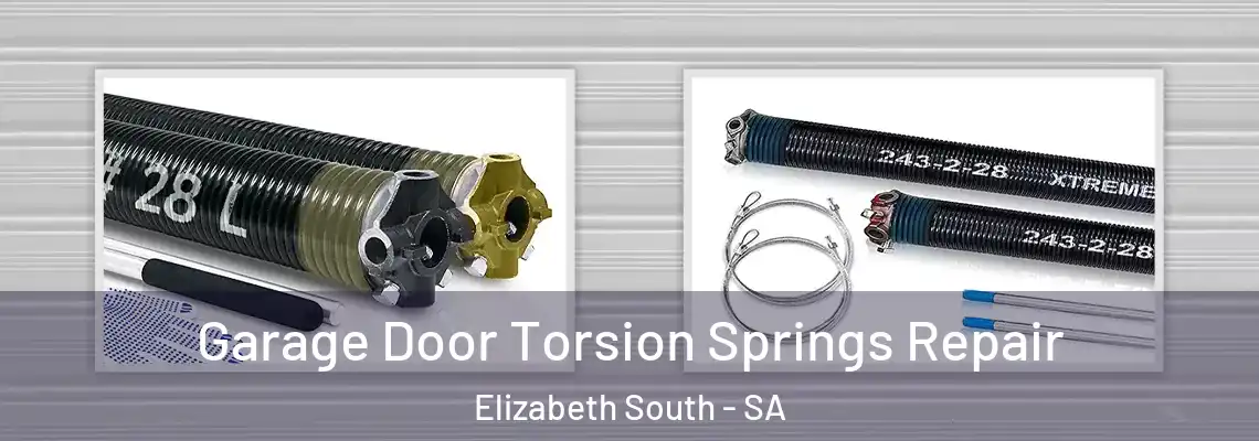  Garage Door Torsion Springs Repair Elizabeth South - SA