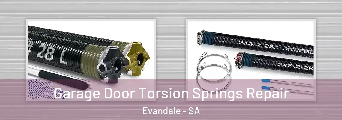  Garage Door Torsion Springs Repair Evandale - SA
