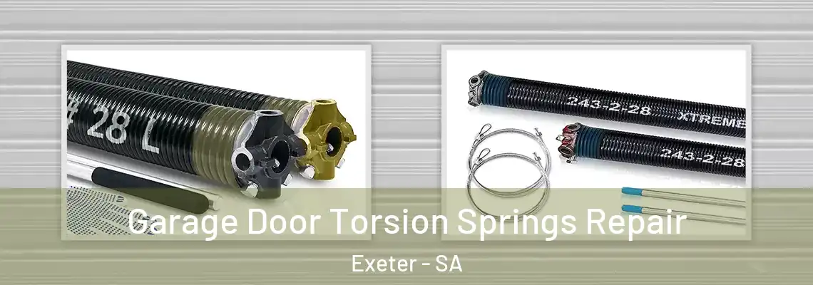  Garage Door Torsion Springs Repair Exeter - SA